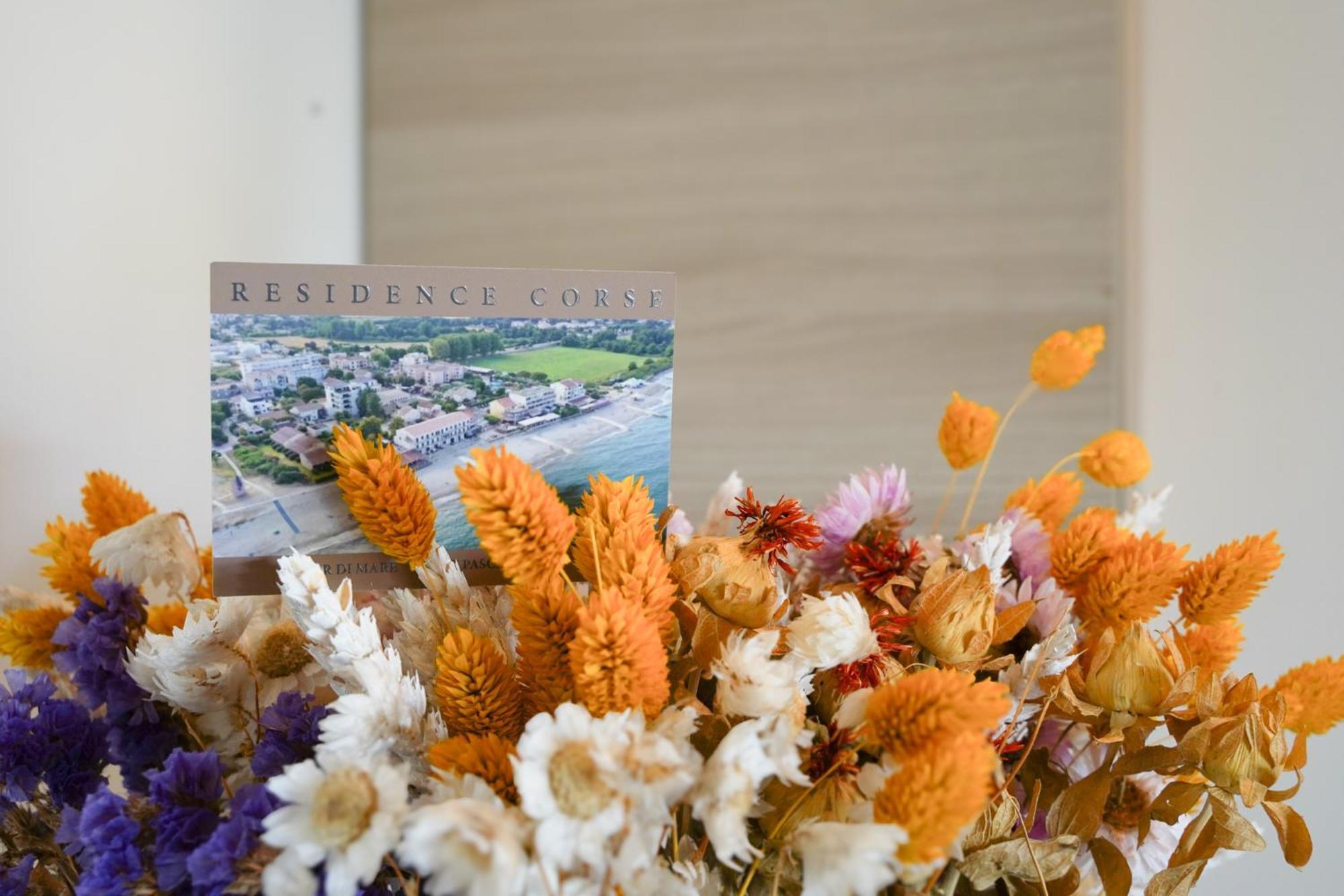 מוריאני-פלאז' Residence Pascal Paoli Fior Di Mare מראה חיצוני תמונה