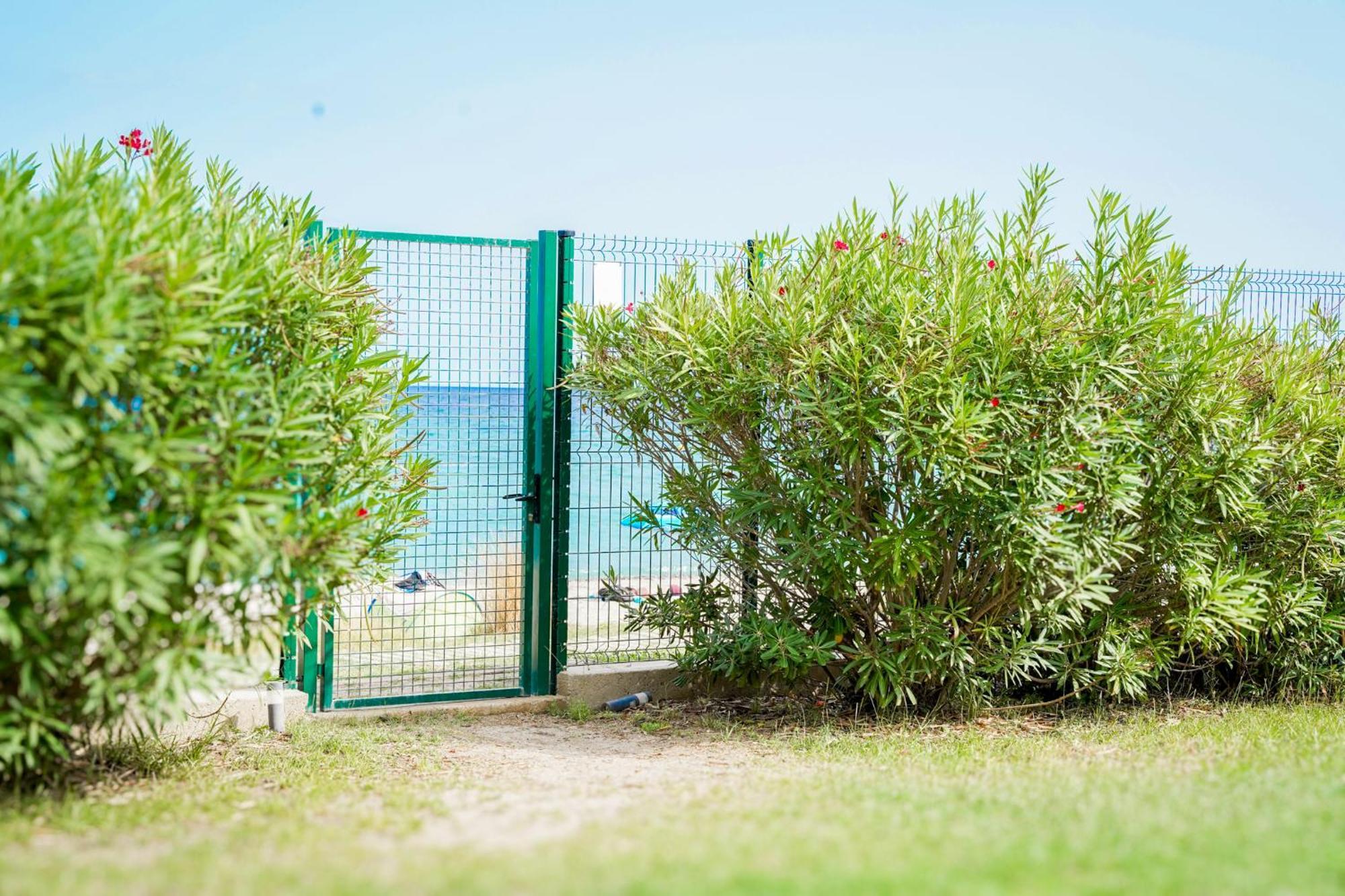 מוריאני-פלאז' Residence Pascal Paoli Fior Di Mare מראה חיצוני תמונה